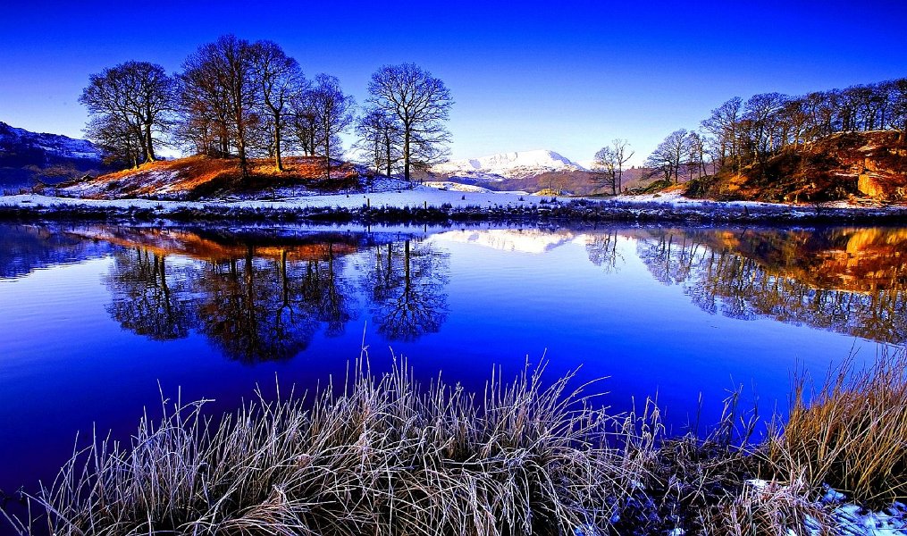 header-1920x1135-3